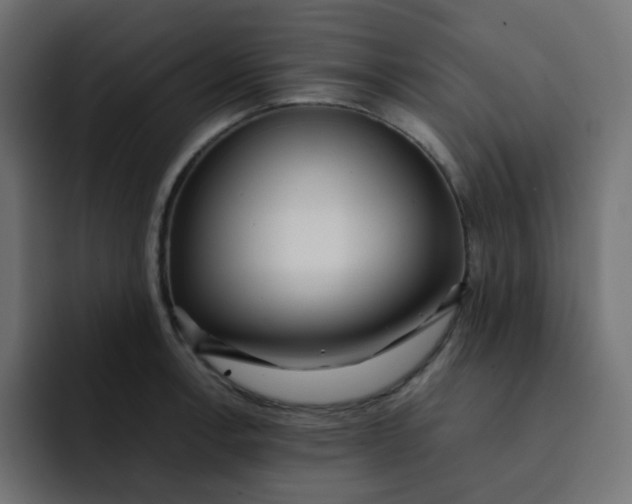 X0000092061138200710031056