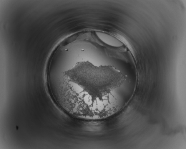 X0000092061141200710031056