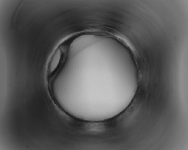 X0000092061143200710031056