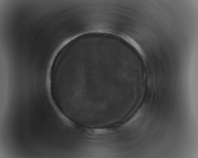 X0000092061144200710031056