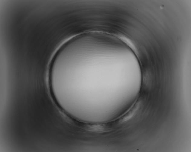 X0000092061149200710031056