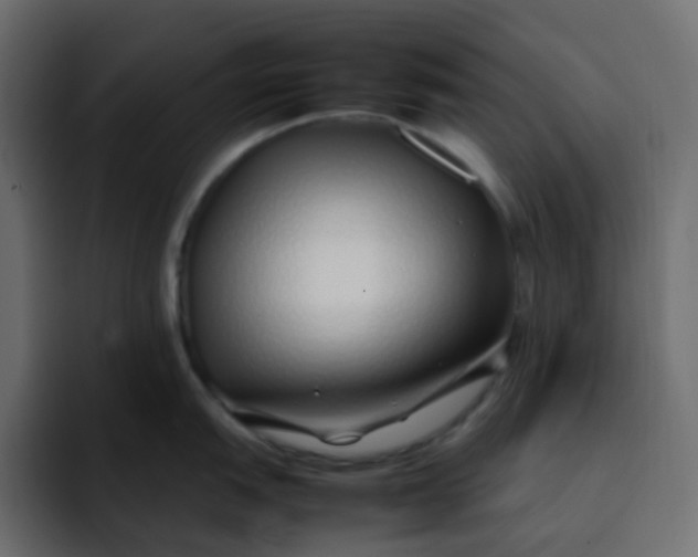 X0000092061151200710031056