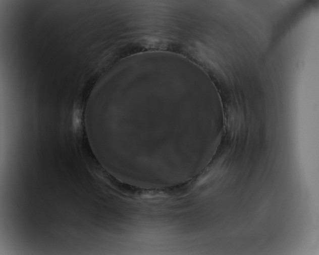 X0000092061154200710031055