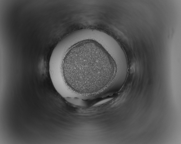 X0000092061156200710031055