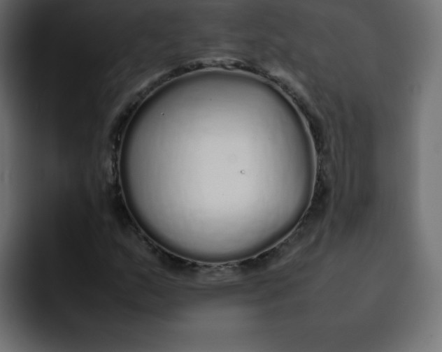 X0000092061159200710031055