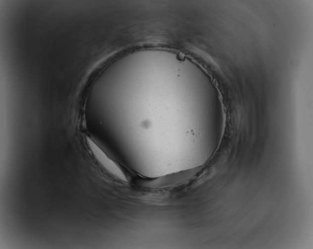 X0000092061160200710031055