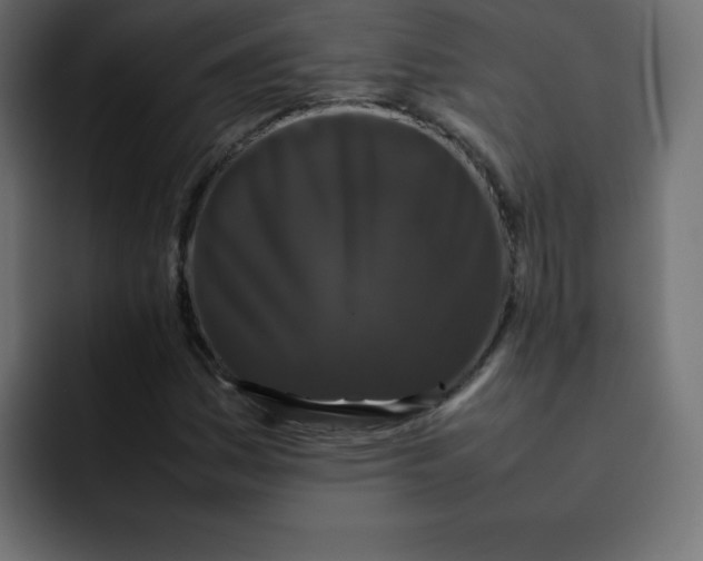 X0000092061161200710031055