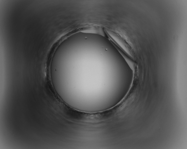 X0000092061165200710031055