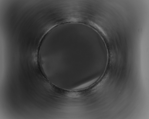 X0000092061170200710031055