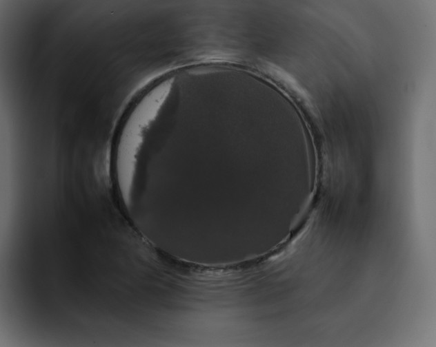 X0000092061174200710031055