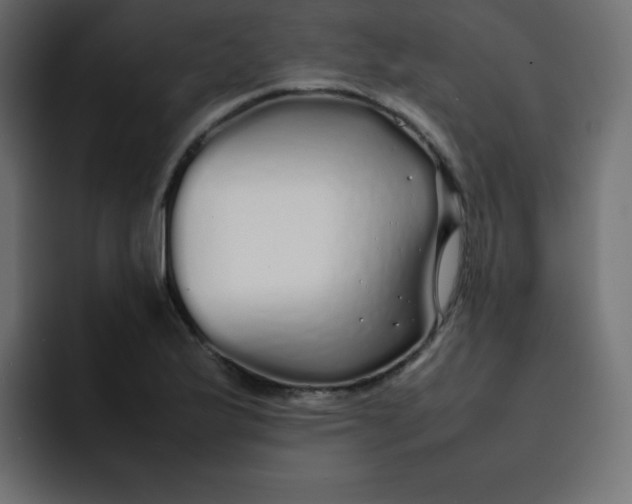 X0000092061175200710031055