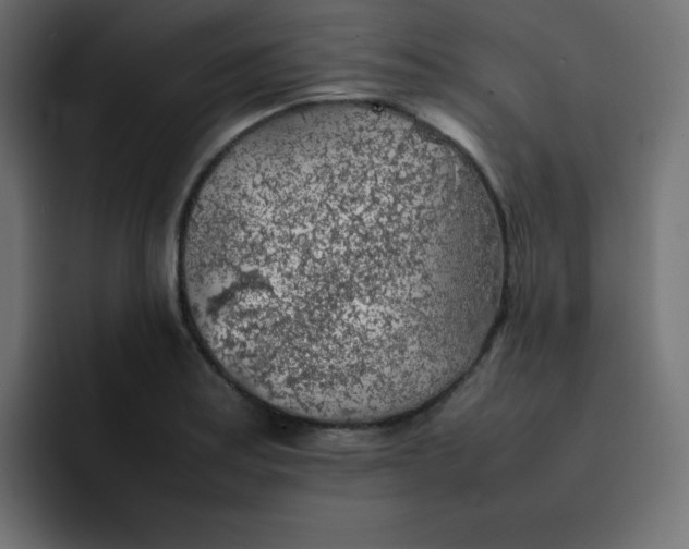 X0000092061179200710031055