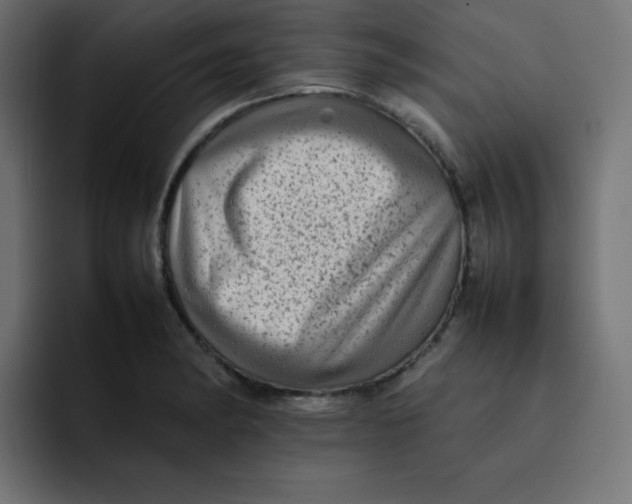 X0000092061182200710031055