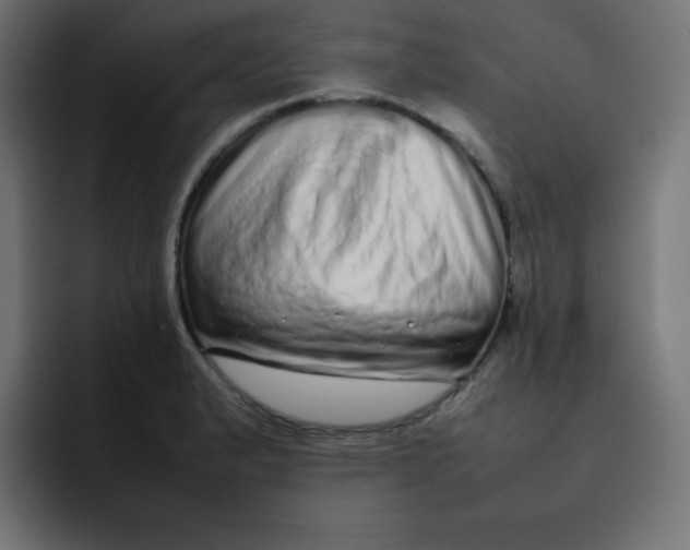 X0000092061183200710031055