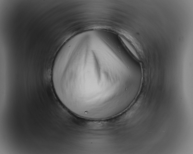 X0000092061185200710031055