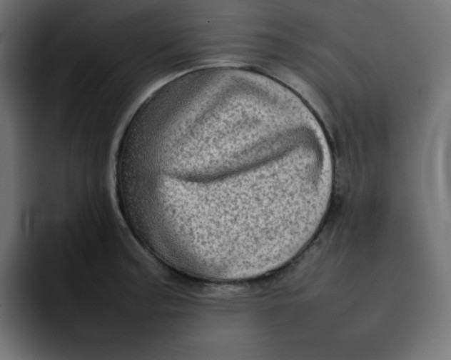 X0000092061187200710031055