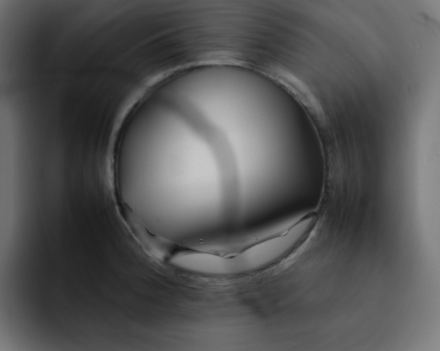 X0000092061188200710031055