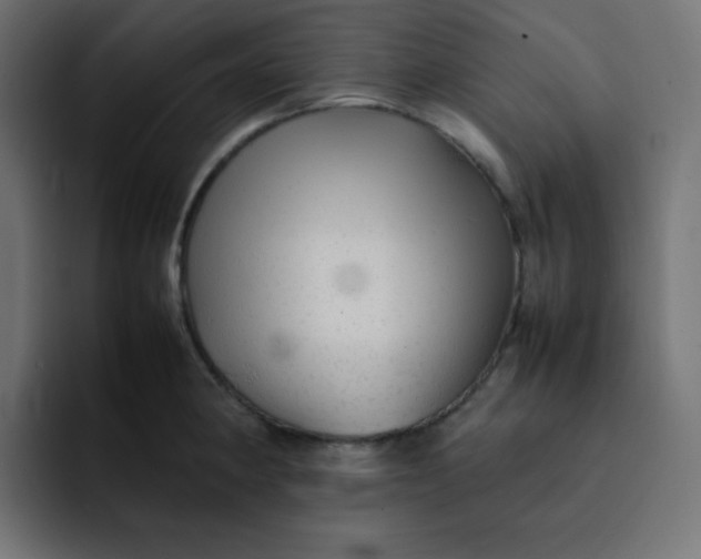 X0000092061190200710031055