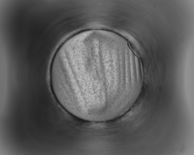 X0000092061191200710031055