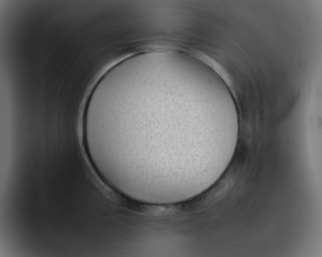 X0000092061195200710031055