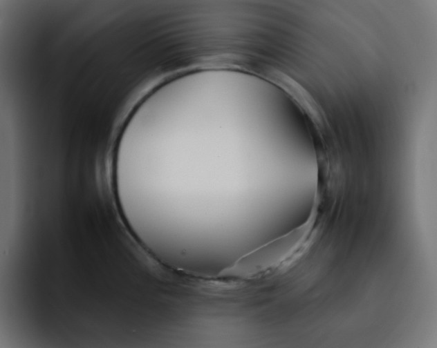 X0000092061196200710031055