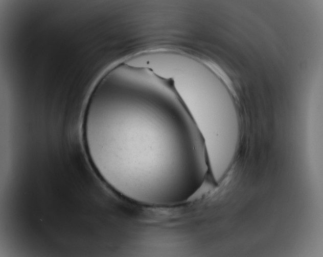 X0000092061197200710031055