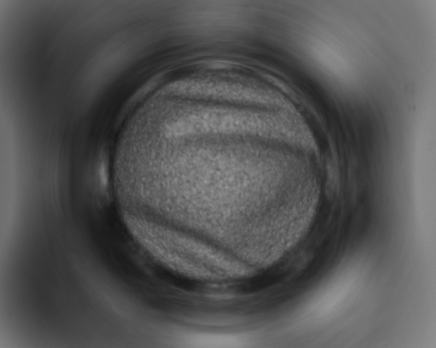 X0000092061198200710031055