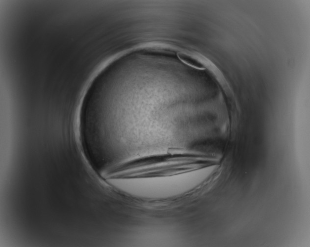 X0000092061199200710031055