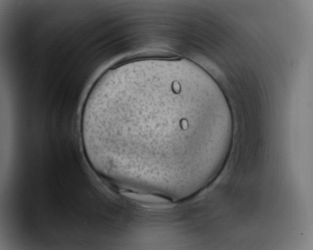 X0000092061200200710031055