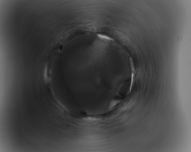 X0000092061202200710031054