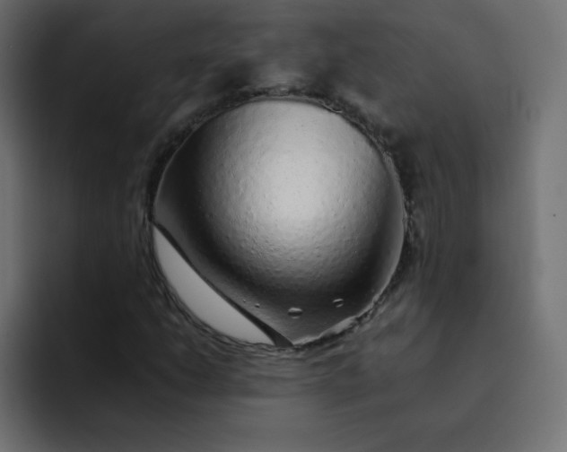 X0000092061206200710031054