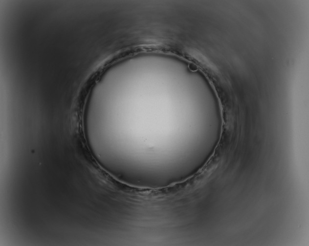 X0000092061208200710031054