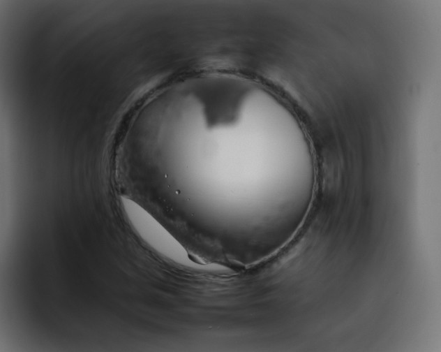 X0000092061213200710031054