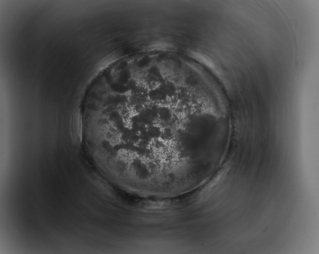 X0000092061219200710031054