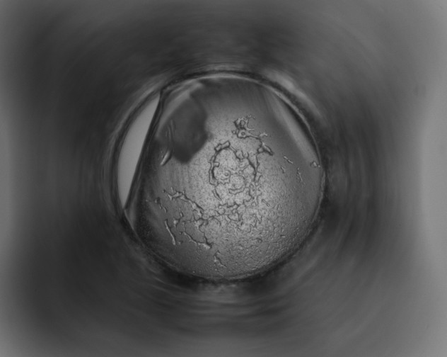 X0000092061221200710031054