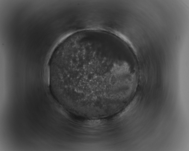 X0000092061223200710031054