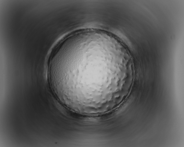 X0000092061224200710031054