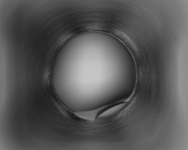 X0000092061225200710031054