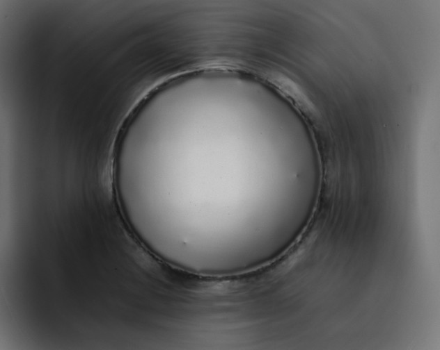 X0000092061228200710031055