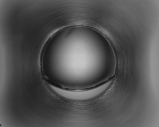 X0000092061230200710031055