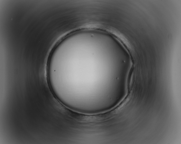 X0000092061232200710031055