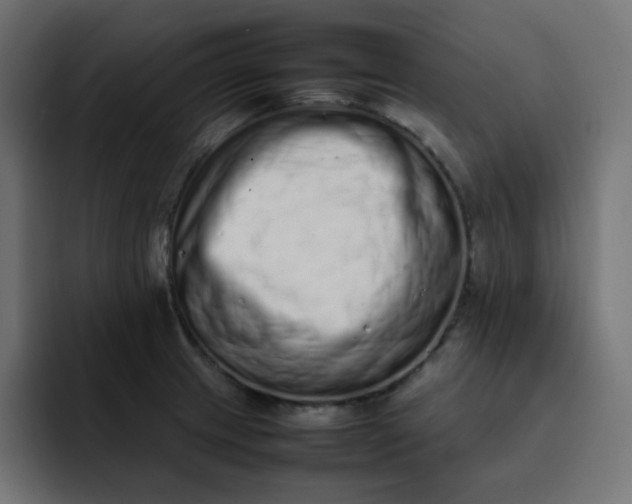 X0000092061233200710031055