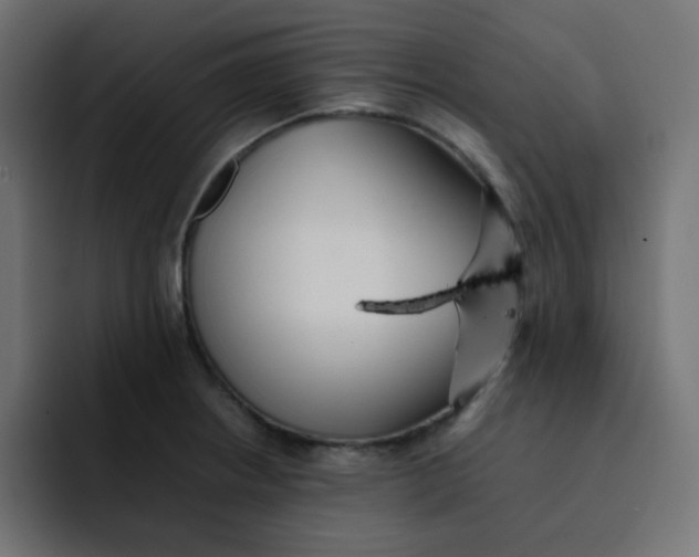 X0000092061234200710031055