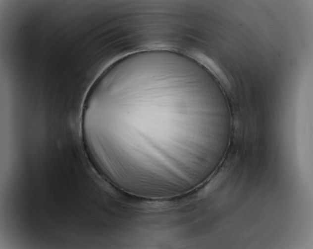 X0000092061236200710031055