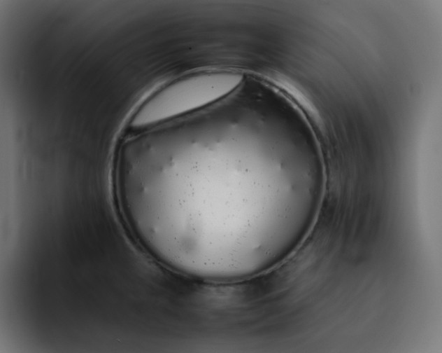 X0000092061237200710031055