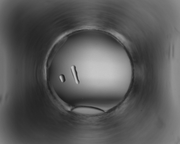 X0000092061238200710031055