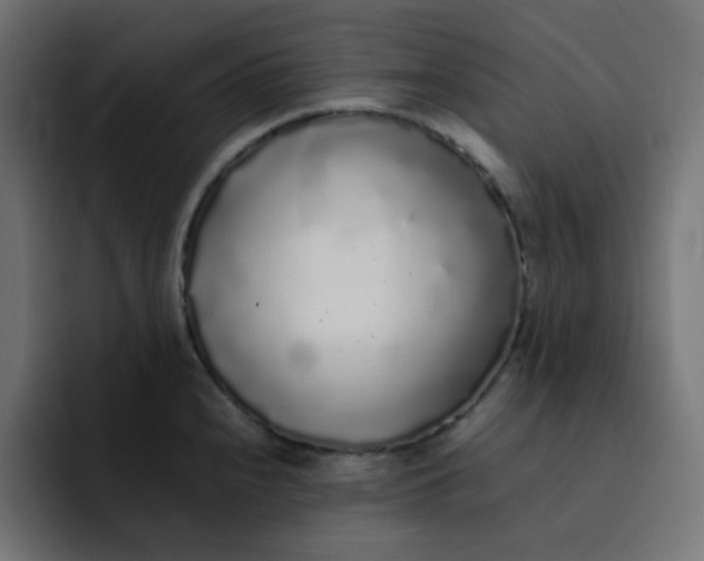 X0000092061240200710031055