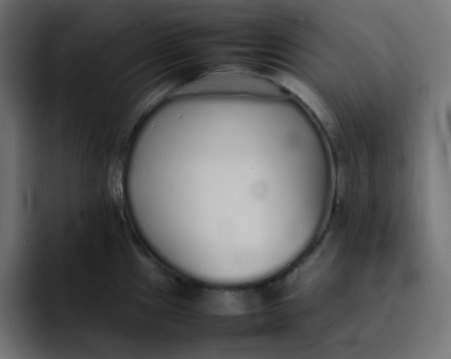 X0000092061241200710031055