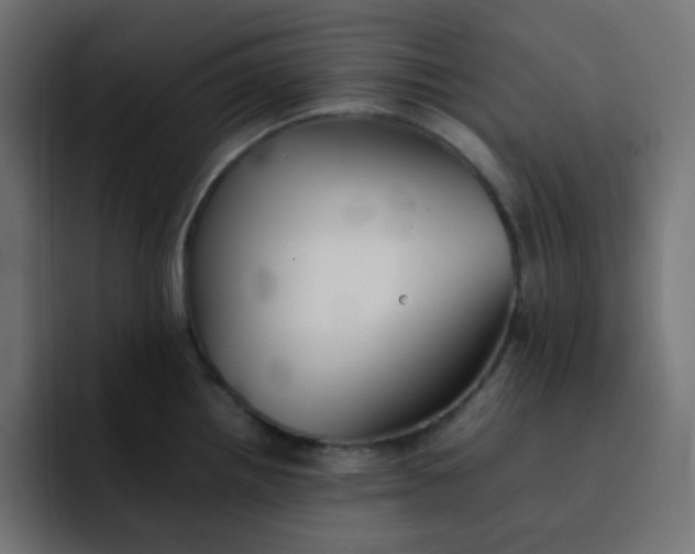 X0000092061242200710031055