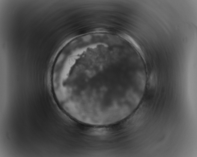 X0000092061243200710031055